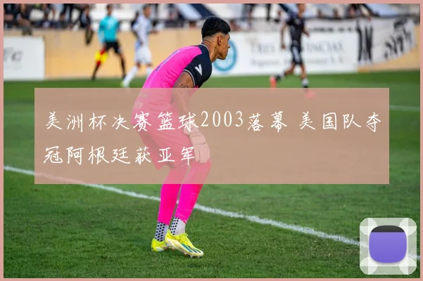美洲杯决赛篮球2003落幕 美国队夺冠阿根廷获亚军