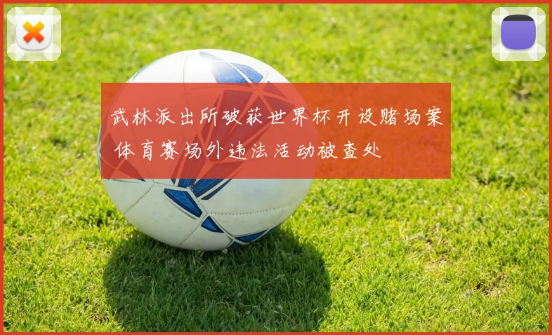 武林派出所破获世界杯开设赌场案 体育赛场外违法活动被查处