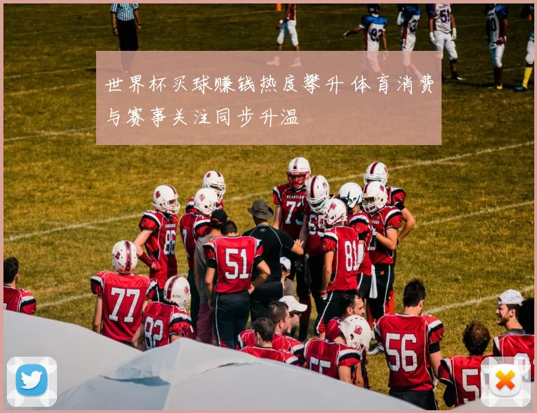 世界杯买球赚钱热度攀升 体育消费与赛事关注同步升温