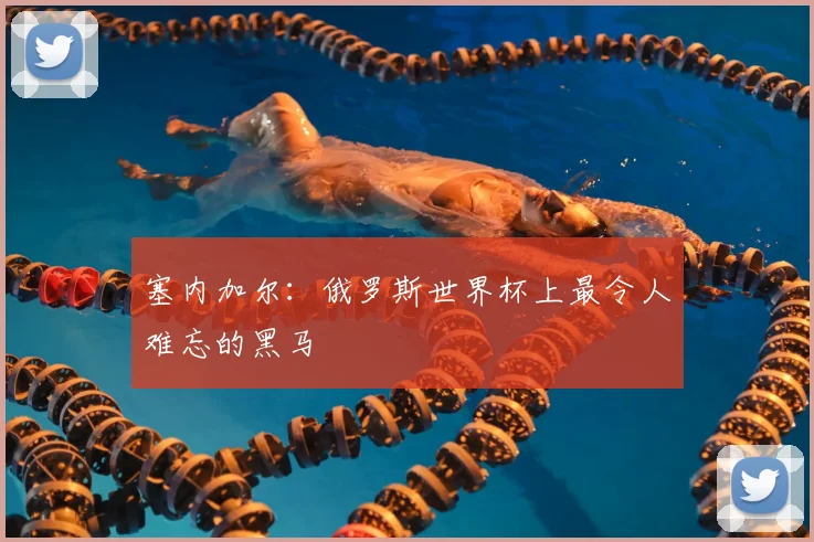 塞内加尔:俄罗斯世界杯上最令人难忘的黑马