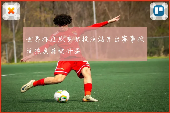 世界杯厄瓜多尔投注站开出赛事投注热度持续升温