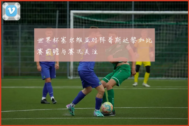 世界杯塞尔维亚对阵哥斯达黎加比赛前瞻与赛况关注