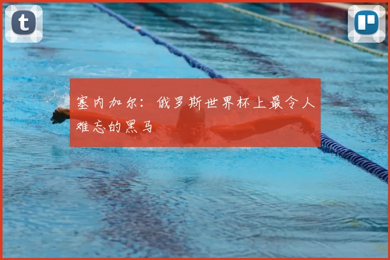 塞内加尔:俄罗斯世界杯上最令人难忘的黑马