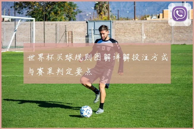 世界杯买球规则图解详解投注方式与赛果判定要点