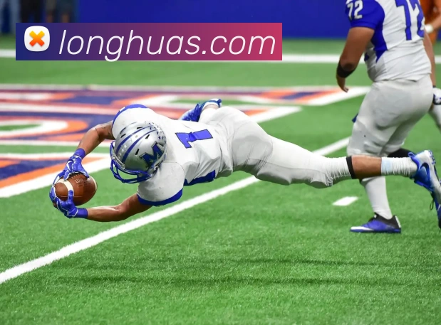 App Interface Preview